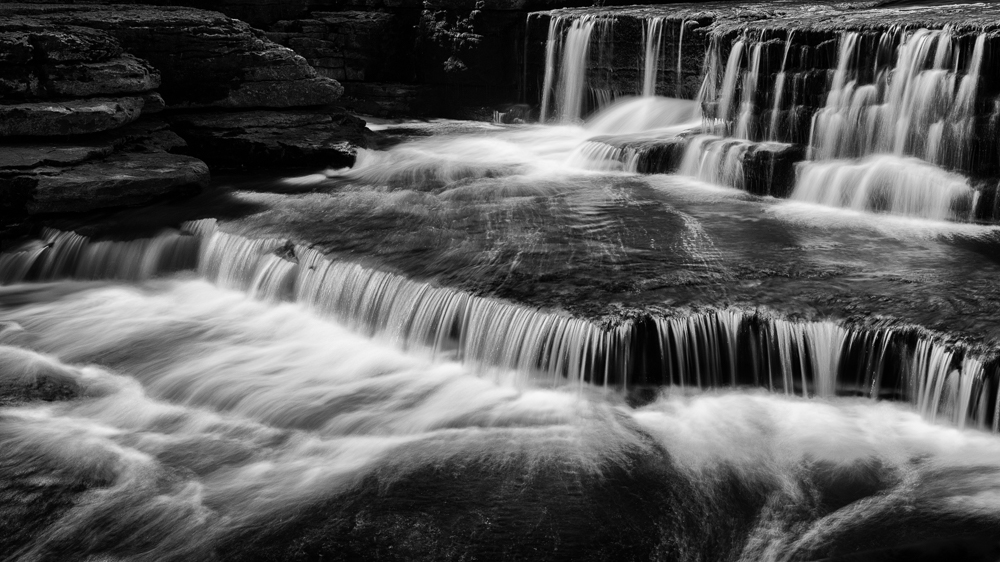 Stacks Image 81
