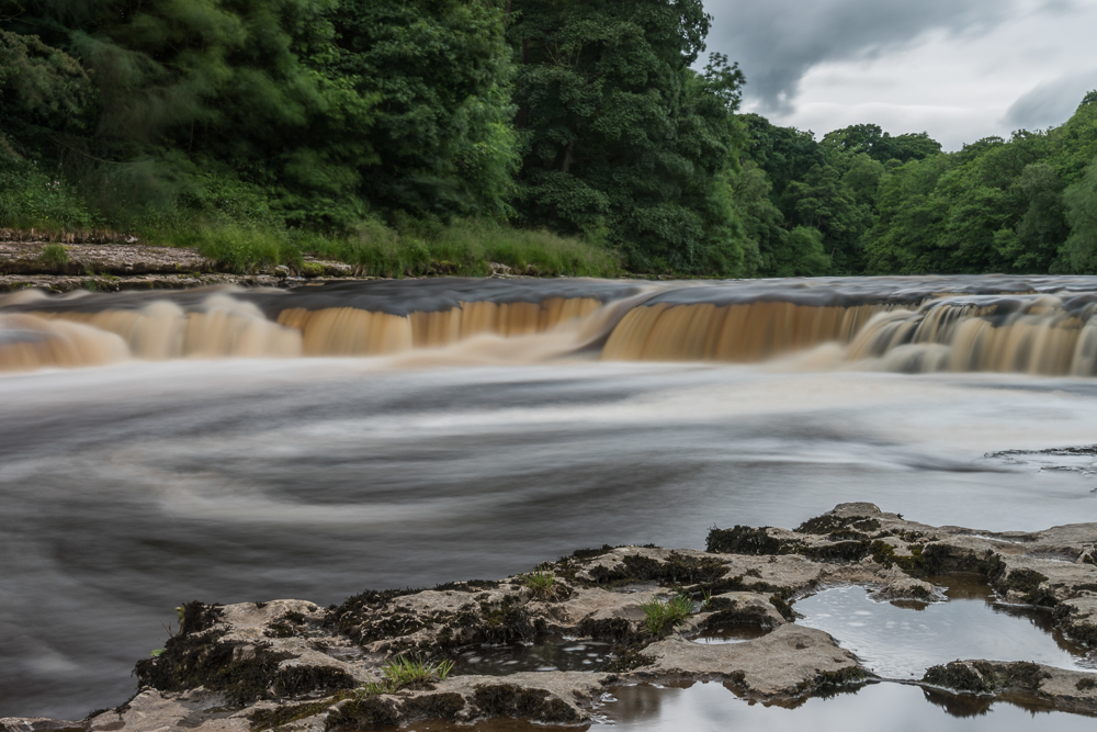 Stacks Image 55