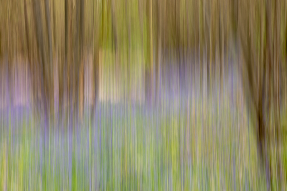 Stacks Image 87