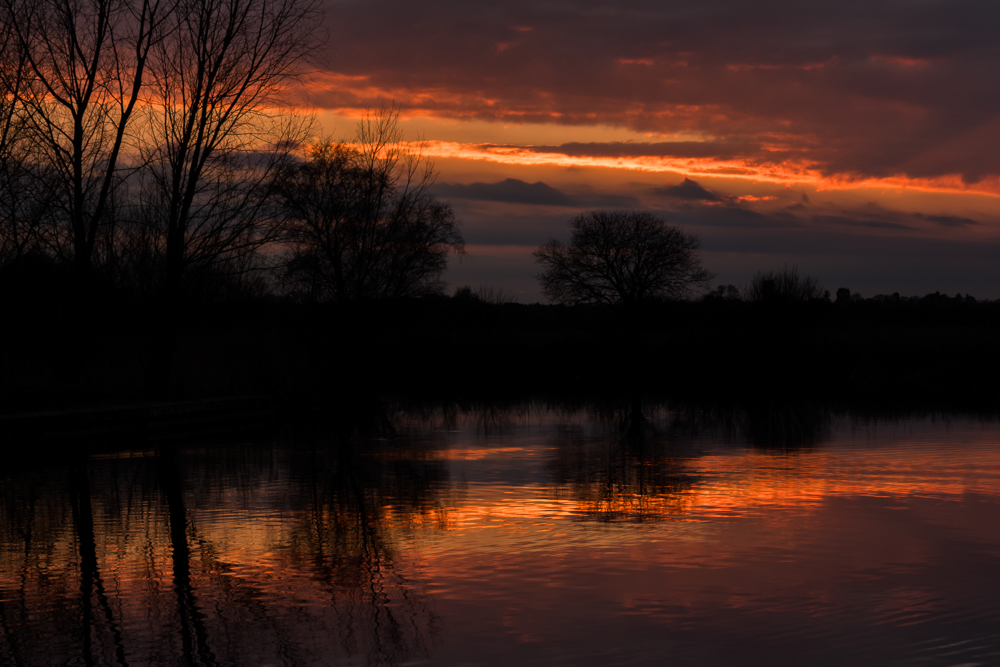 Stacks Image 75
