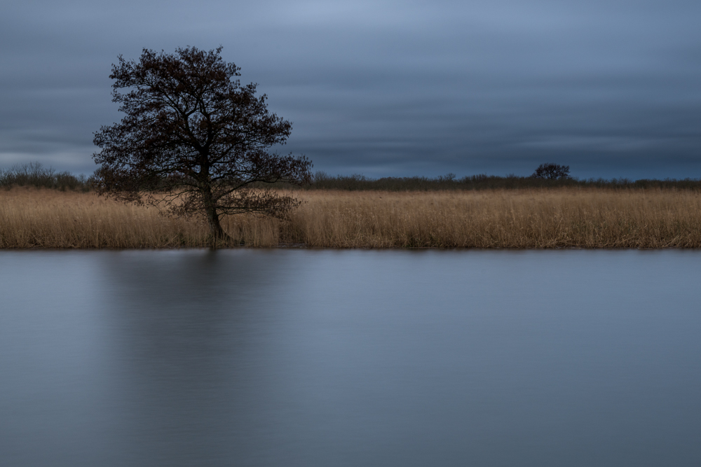 Stacks Image 117