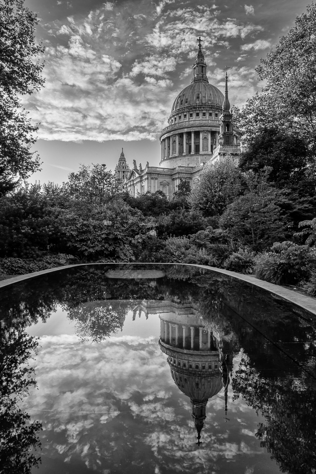 Stacks Image 177