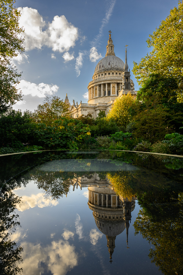 Stacks Image 173
