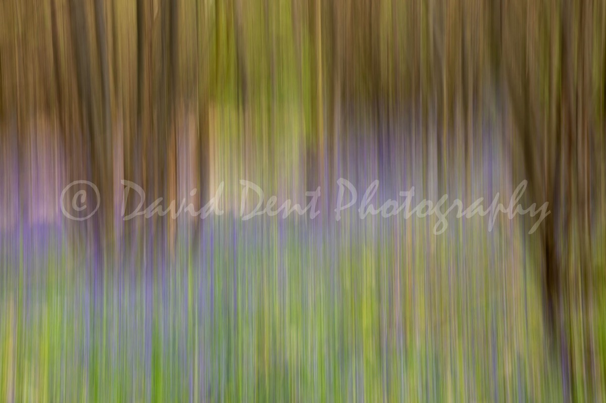 Stacks Image 85